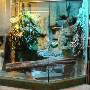 New terrarium for anacondas