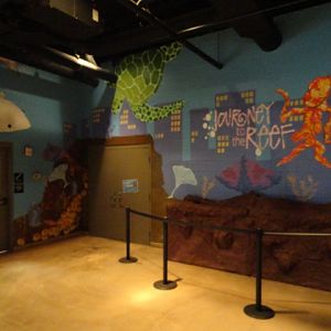 Journey to the Reef Entrance