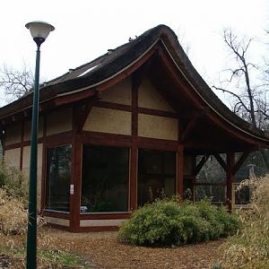 Pavilon of Hylobates lar