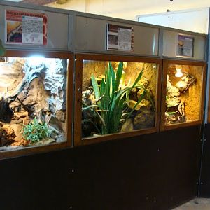 Terrarium