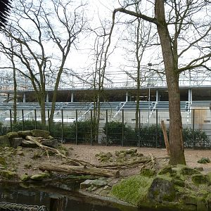 Backside construction of gorilla exhibit