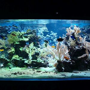 Sea aquarium