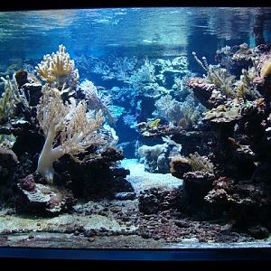 Sea aquarium