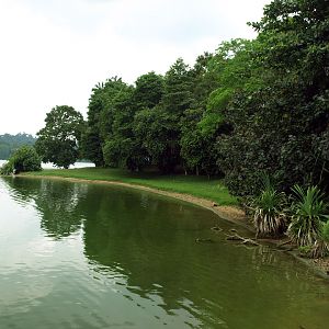 View of the zoo from the boat