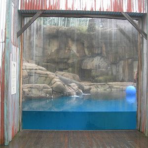 Polar Bear Exhibit