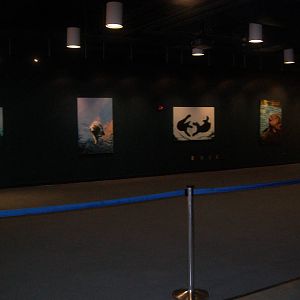 Inside Water's Edge Future Home of the nursery for the Orphaned Northern Se