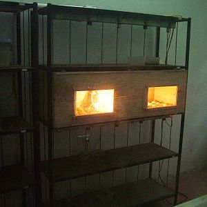 Egg Incubators at the Turtle Centre, Cuc Phuong, 10/03/12