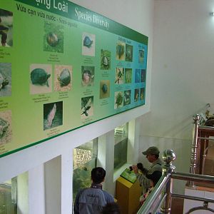 Main Building Turtle Viewing at the Turtle Centre, Cuc Phuong, 10/03/12