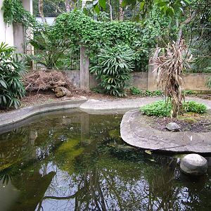 Giant Asian Pond Turtle Exhibit at the Turtle Centre, Cuc Phuong, 10/03/12