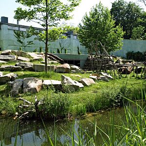 Outdoor gorilla complex