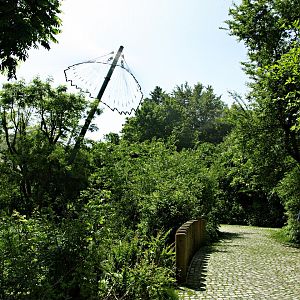 View of free-flight aviary