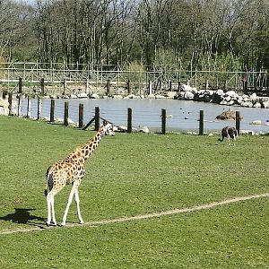 Following a well-trodden path 30th March 2012