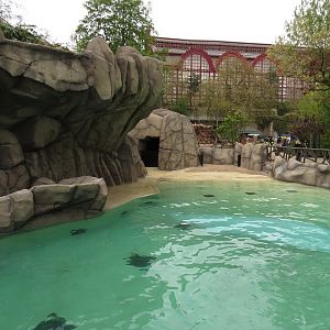Harbour Seal Enclosure