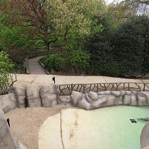 Harbour Seal Enclosure
