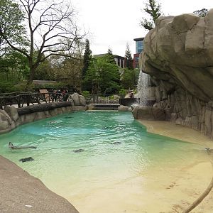 Harbour Seal Enclosure
