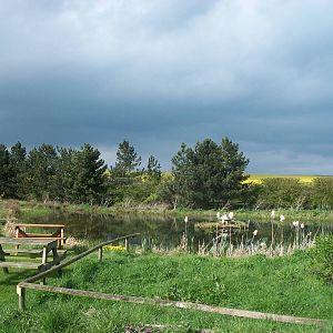 Filey Bird Garden and Animal Park 20th April 2012