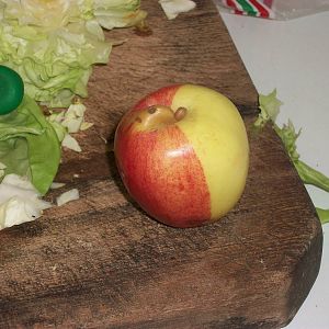 Sewerby Zoo, unusual apple in zoo kitchen 27th April 2012