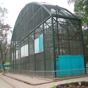 Aviary at Hanoi Zoo, 15/03/12
