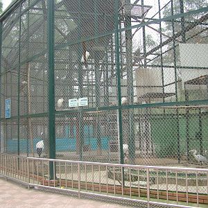 Aviary at Hanoi Zoo, 15/03/12