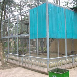 Mynah Aviary at Hanoi Zoo, 15/03/12