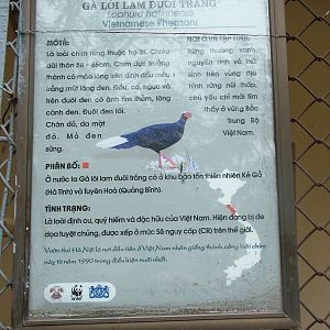Signage Example at Hanoi Zoo, 15/03/12