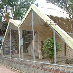 Pheasant Aviary at Hanoi Zoo, 15/03/12