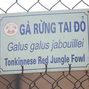 Signage Example at Hanoi Zoo, 15/03/12