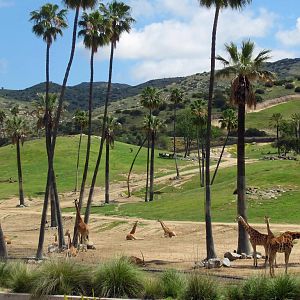 Tram ride views April 27, 2012