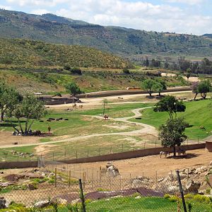 Tram ride views April 27, 2012