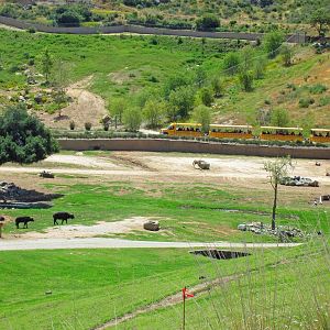 Tram ride views April 27, 2012