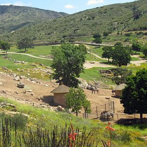 Tram ride views April 27, 2012