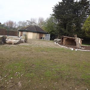 Giant anteater exhibit at Blackpool Zoo 22/04/12