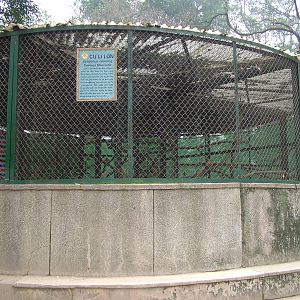 Slow Loris Exhibit Exterior at Hanoi Zoo, 15/03/12