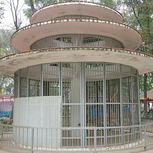 Peafowl Aviary at Hanoi Zoo, 15/03/12