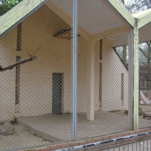 Peafowl Aviary at Hanoi Zoo, 15/03/12