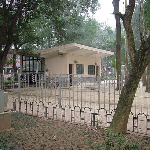 Ostrich and Rhea Paddock at Hanoi Zoo, 15/03/12