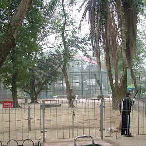 Ostrich and Rhea Paddock at Hanoi Zoo, 15/03/12