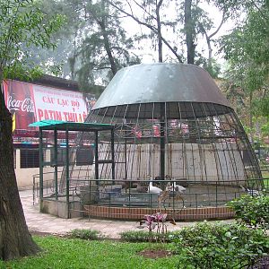 Poultry Aviary at Hanoi Zoo, 15/03/12
