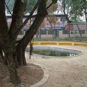 Crocodile Exhibit at Hanoi Zoo, 15/03/12
