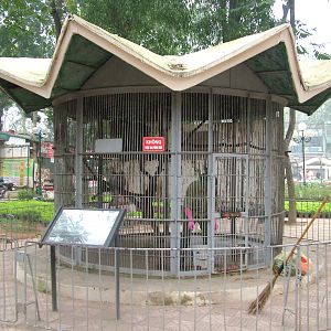 Langur Exhibit at Hanoi Zoo, 15/03/12