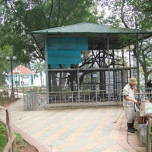 Macaque Exhibit at Hanoi Zoo, 15/03/12
