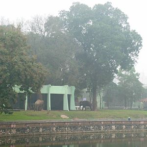 Elephant House and Paddock at Hanoi Zoo, 15/03/12