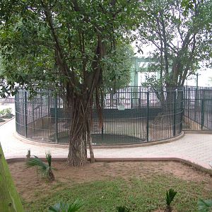 Crocodile Exhibit at Hanoi Zoo, 15/03/12
