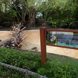 Pygmy Hippo Exhibit