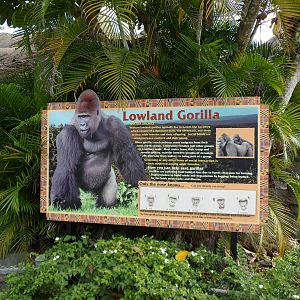 Gorilla Sign