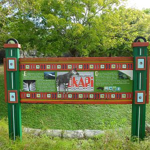 Okapi Sign