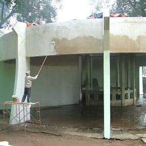 Elephant House Renovation at Hanoi Zoo, 15/03/12