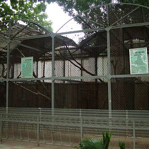 Small Carnivore Cages at Hanoi Zoo, 15/03/12