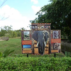 African Elephant Sign