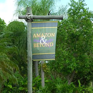 Amazon and Beyond Entery Sign